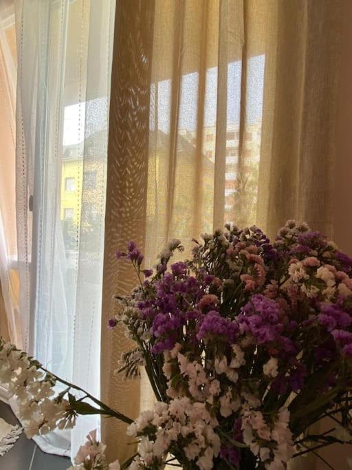 Sofia 2 Appartement *